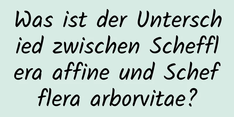 Was ist der Unterschied zwischen Schefflera affine und Schefflera arborvitae?