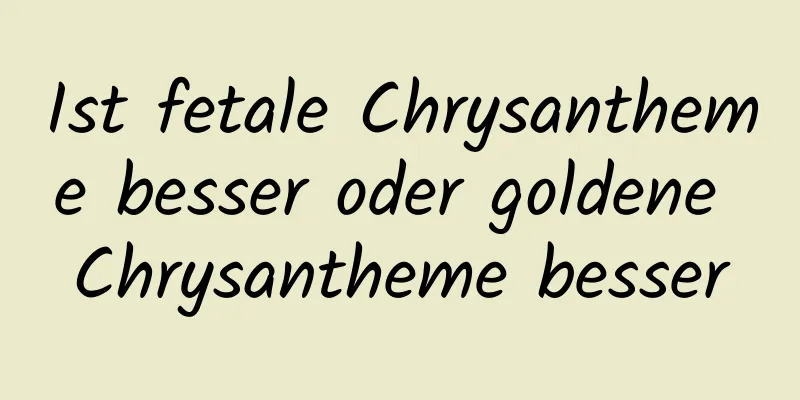 Ist fetale Chrysantheme besser oder goldene Chrysantheme besser