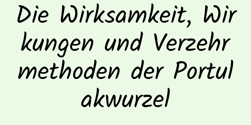 Die Wirksamkeit, Wirkungen und Verzehrmethoden der Portulakwurzel