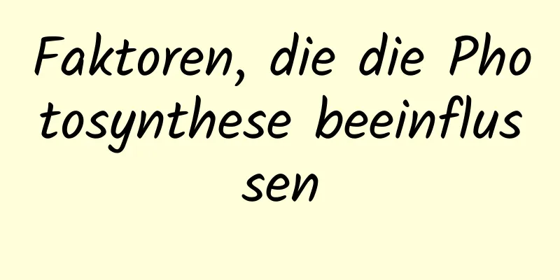 Faktoren, die die Photosynthese beeinflussen