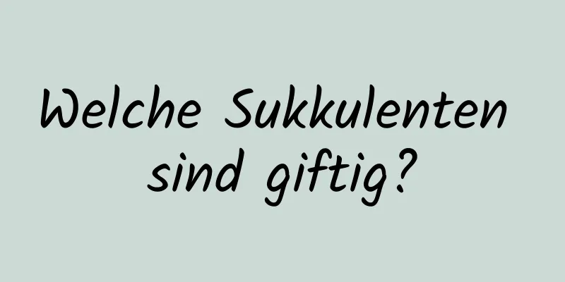 Welche Sukkulenten sind giftig?