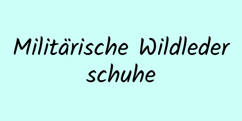 Militärische Wildlederschuhe