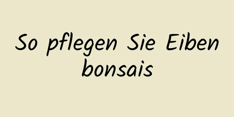 So pflegen Sie Eibenbonsais