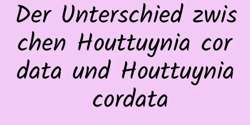 Der Unterschied zwischen Houttuynia cordata und Houttuynia cordata