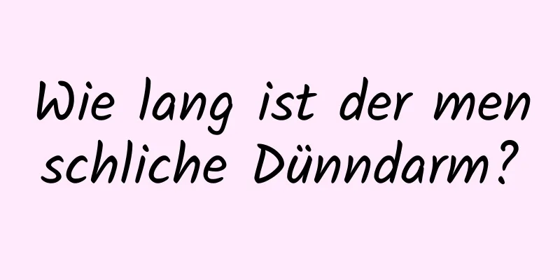 Wie lang ist der menschliche Dünndarm?