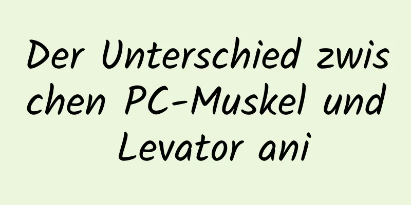 Der Unterschied zwischen PC-Muskel und Levator ani