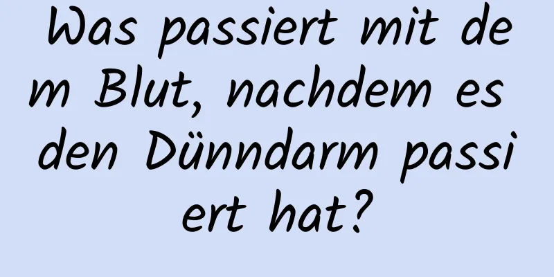 Was passiert mit dem Blut, nachdem es den Dünndarm passiert hat?