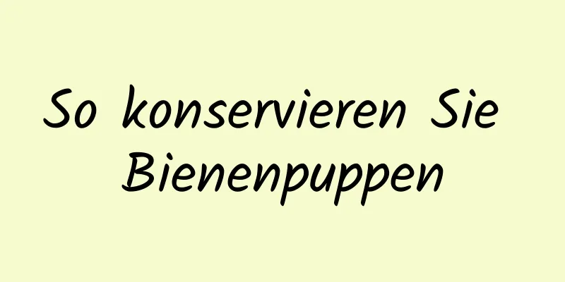 So konservieren Sie Bienenpuppen
