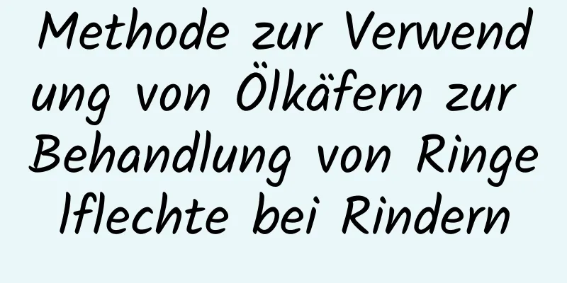 Methode zur Verwendung von Ölkäfern zur Behandlung von Ringelflechte bei Rindern