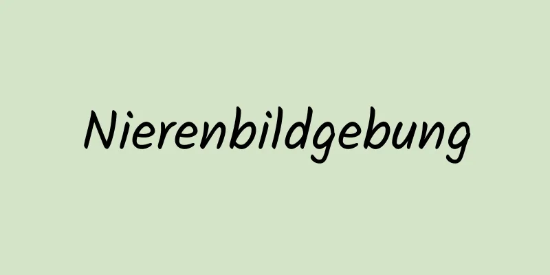 Nierenbildgebung