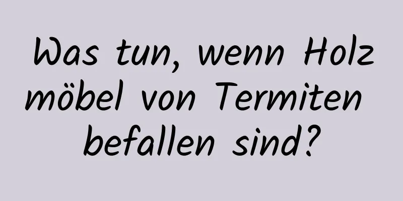 Was tun, wenn Holzmöbel von Termiten befallen sind?