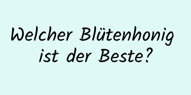 Welcher Blütenhonig ist der Beste?