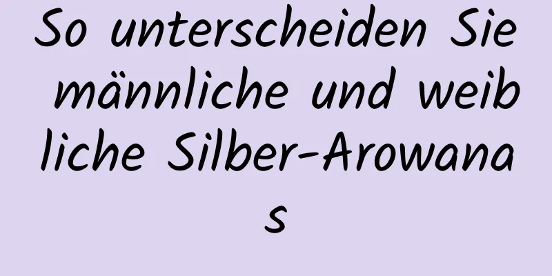So unterscheiden Sie männliche und weibliche Silber-Arowanas