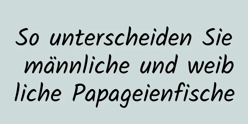 So unterscheiden Sie männliche und weibliche Papageienfische