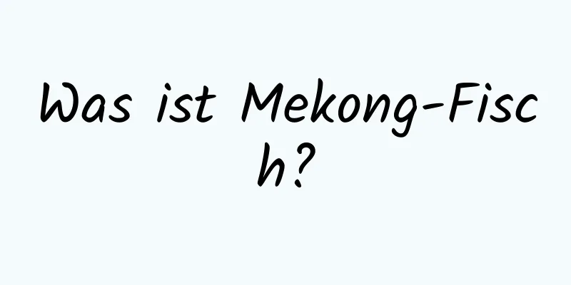 Was ist Mekong-Fisch?