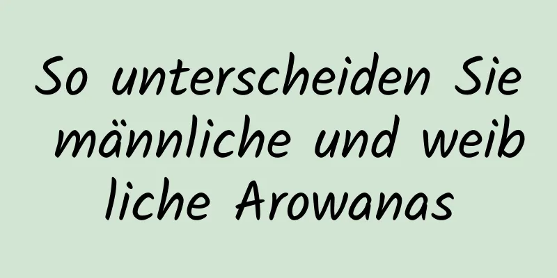 So unterscheiden Sie männliche und weibliche Arowanas