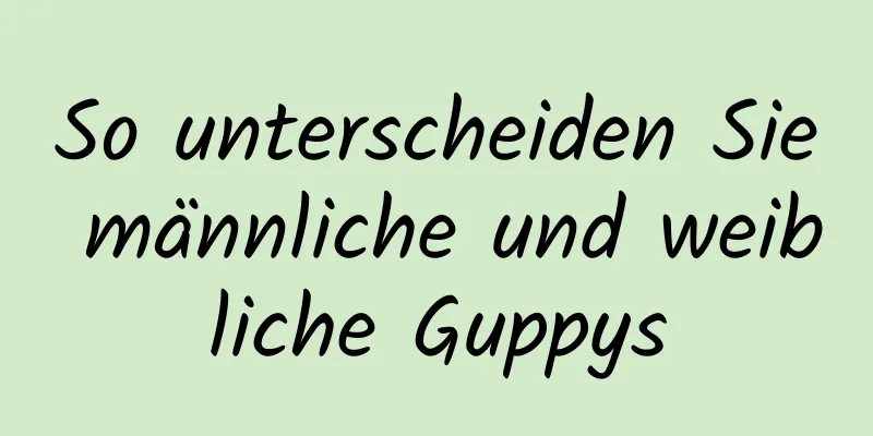 So unterscheiden Sie männliche und weibliche Guppys