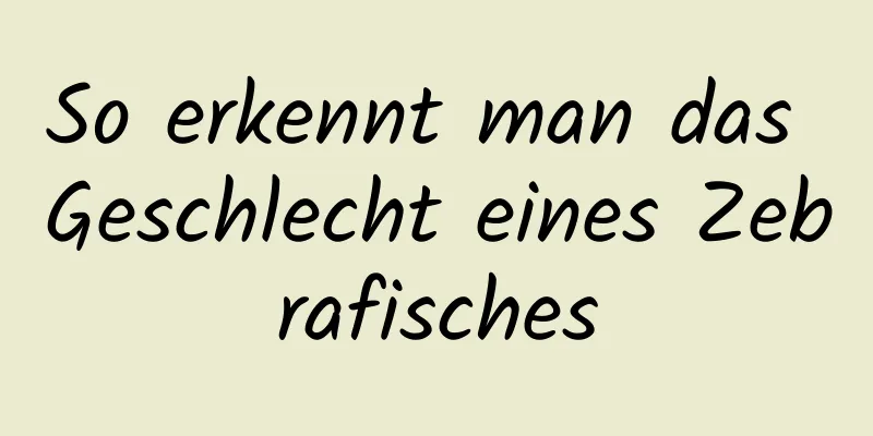 So erkennt man das Geschlecht eines Zebrafisches