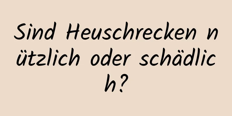 Sind Heuschrecken nützlich oder schädlich?