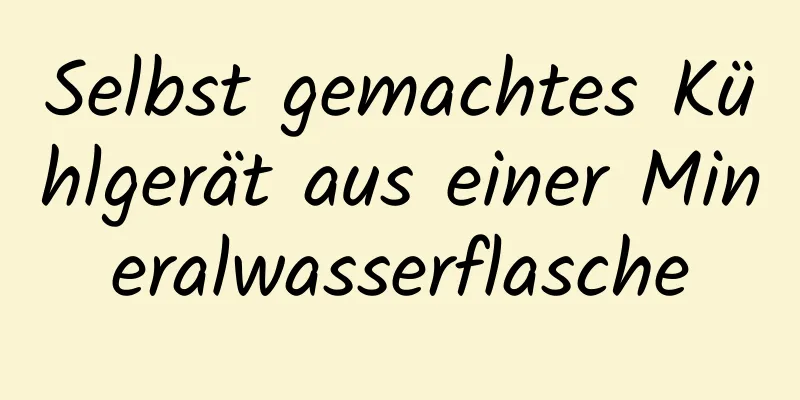 Selbst gemachtes Kühlgerät aus einer Mineralwasserflasche
