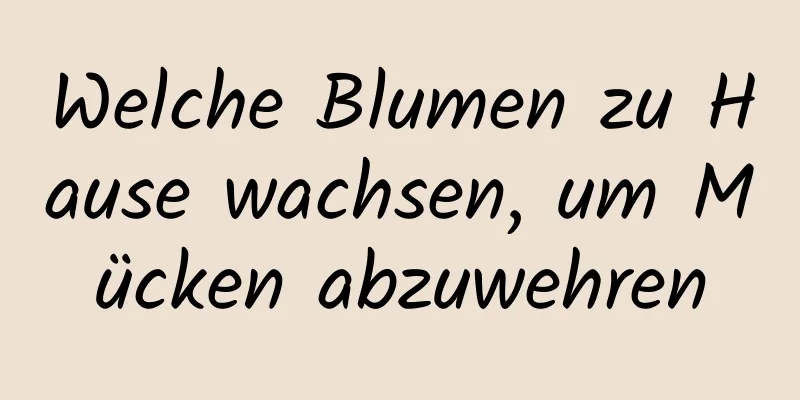 Welche Blumen zu Hause wachsen, um Mücken abzuwehren