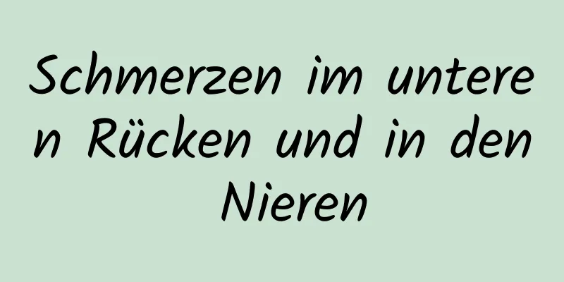 Schmerzen im unteren Rücken und in den Nieren
