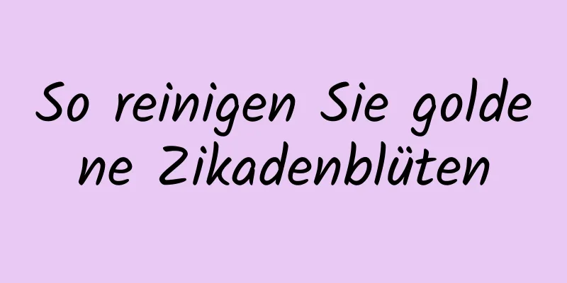 So reinigen Sie goldene Zikadenblüten