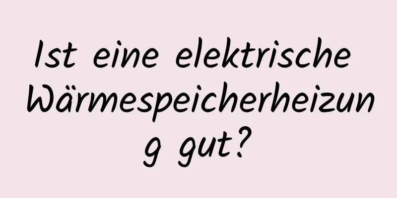 Ist eine elektrische Wärmespeicherheizung gut?