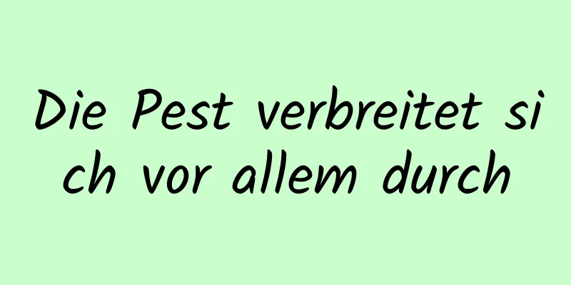 Die Pest verbreitet sich vor allem durch