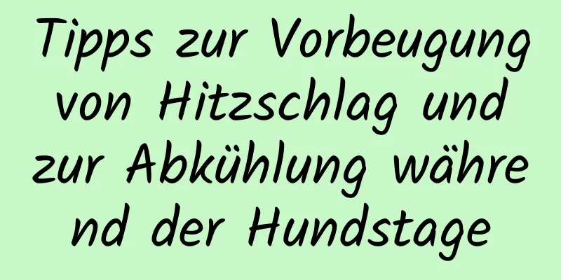Tipps zur Vorbeugung von Hitzschlag und zur Abkühlung während der Hundstage