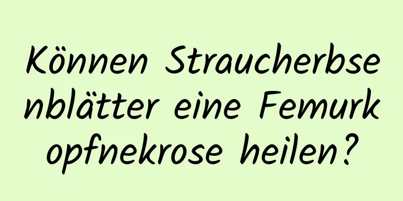 Können Straucherbsenblätter eine Femurkopfnekrose heilen?