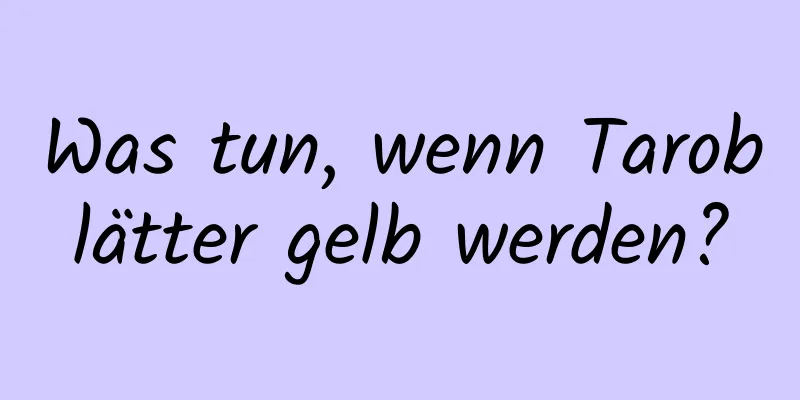 Was tun, wenn Taroblätter gelb werden?