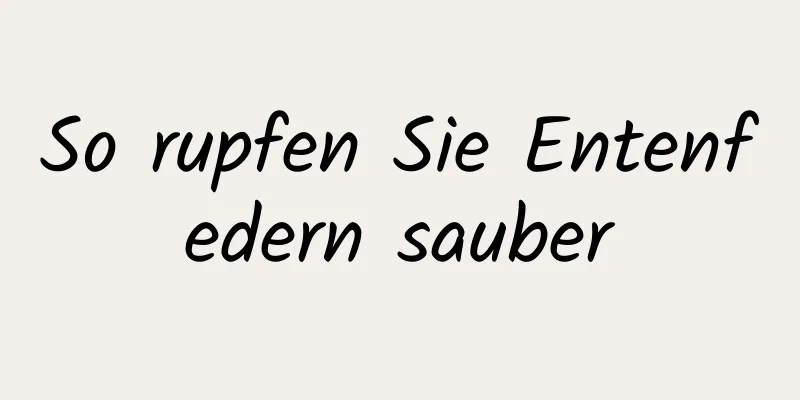 So rupfen Sie Entenfedern sauber