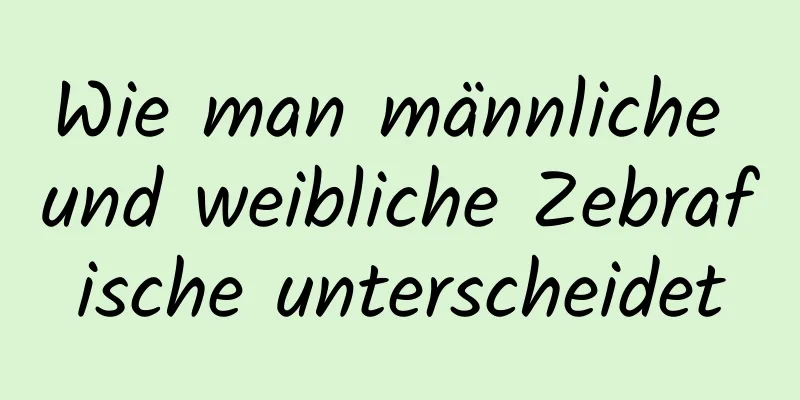 Wie man männliche und weibliche Zebrafische unterscheidet