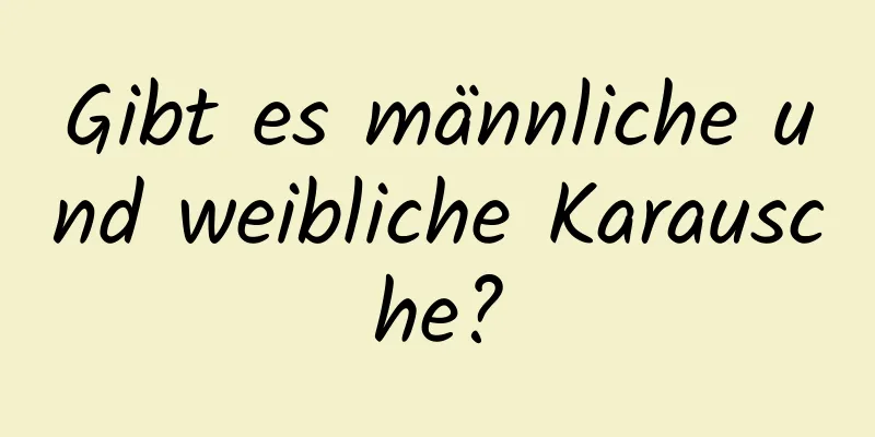 Gibt es männliche und weibliche Karausche?