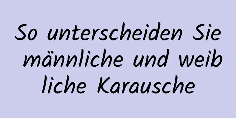 So unterscheiden Sie männliche und weibliche Karausche