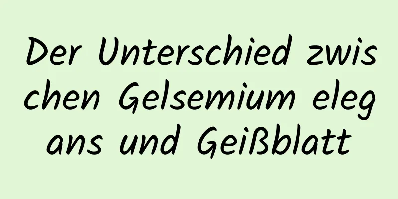 Der Unterschied zwischen Gelsemium elegans und Geißblatt