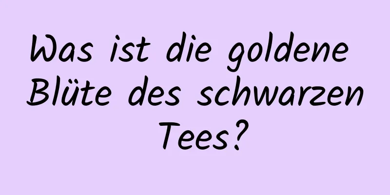 Was ist die goldene Blüte des schwarzen Tees?