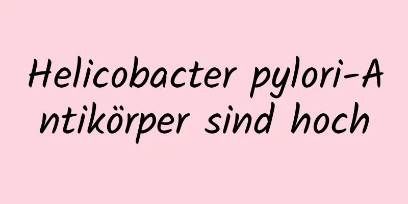 Helicobacter pylori-Antikörper sind hoch