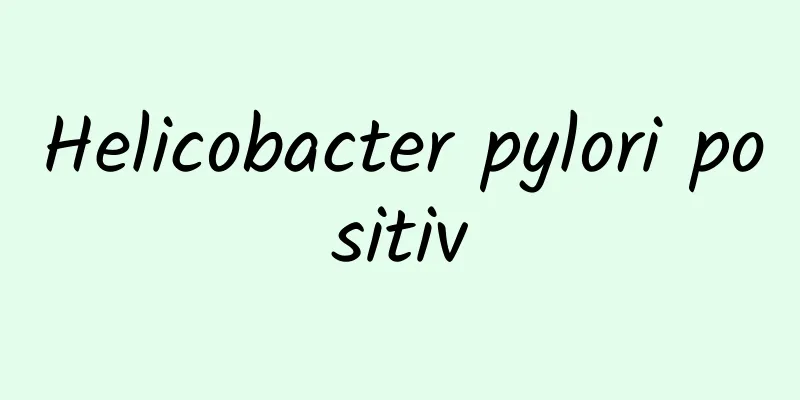 Helicobacter pylori positiv