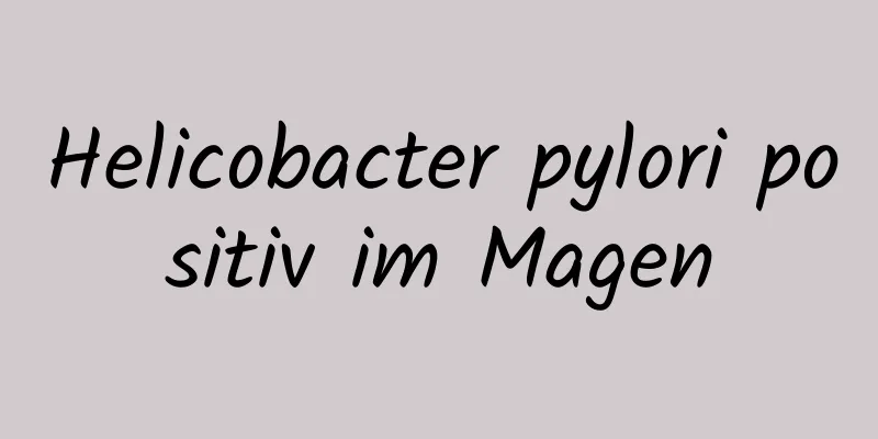 Helicobacter pylori positiv im Magen