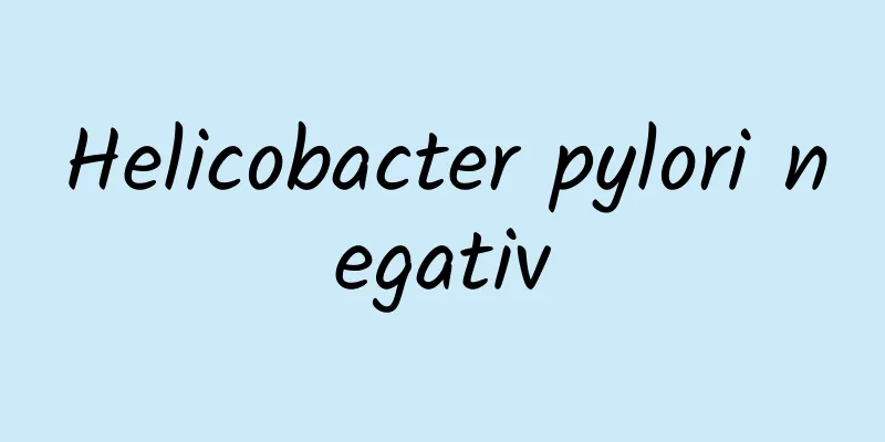 Helicobacter pylori negativ