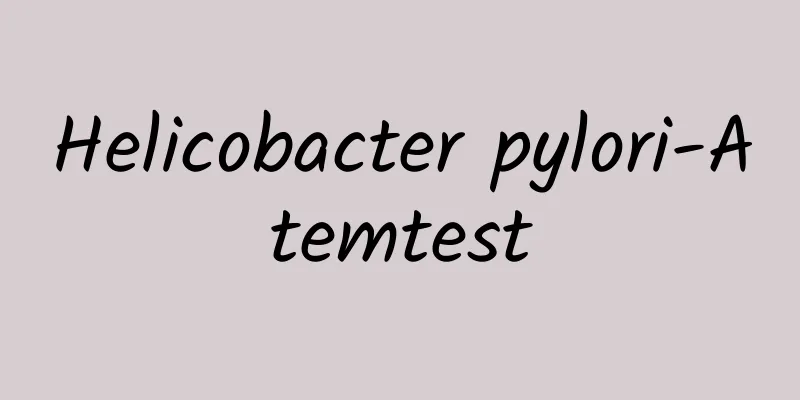 Helicobacter pylori-Atemtest