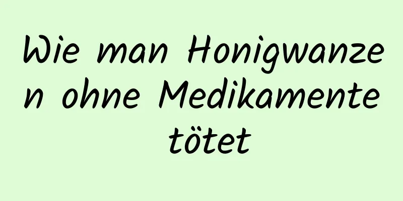 Wie man Honigwanzen ohne Medikamente tötet