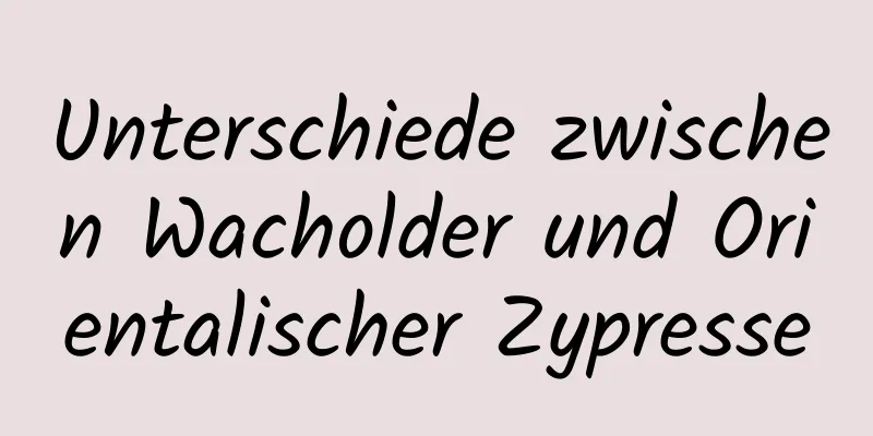 Unterschiede zwischen Wacholder und Orientalischer Zypresse