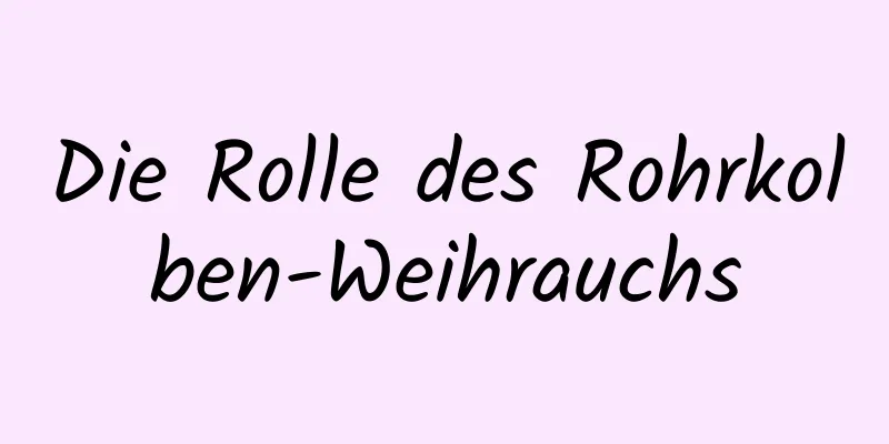 Die Rolle des Rohrkolben-Weihrauchs