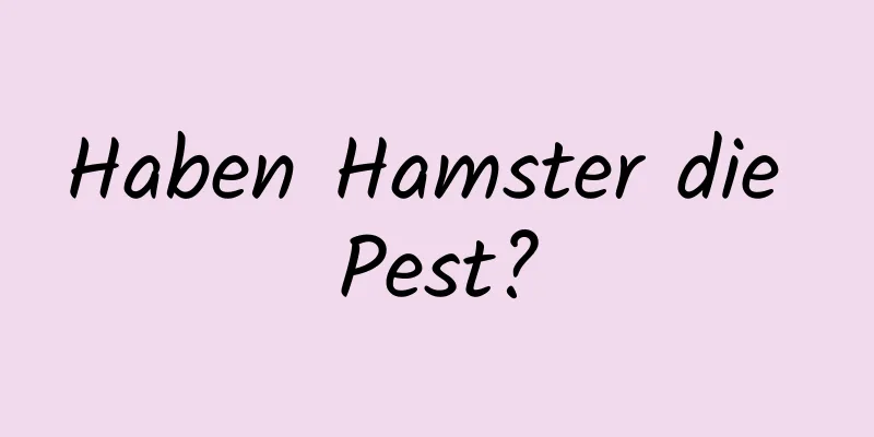 Haben Hamster die Pest?