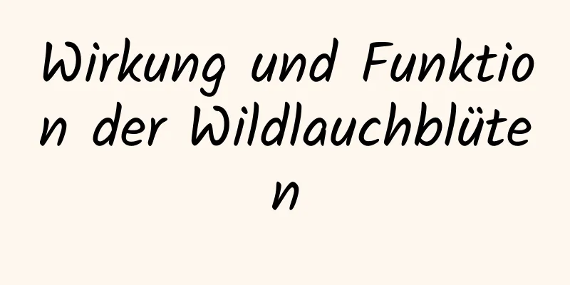 Wirkung und Funktion der Wildlauchblüten