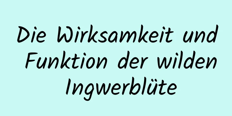 Die Wirksamkeit und Funktion der wilden Ingwerblüte