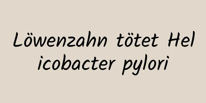 Löwenzahn tötet Helicobacter pylori